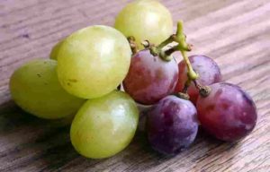 Grapes
