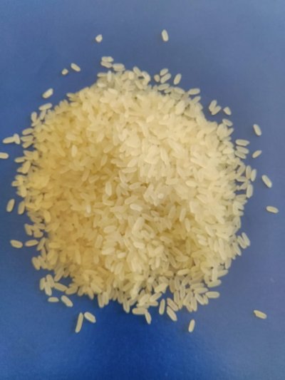 IR 8 Parboiled Rice