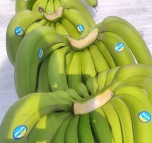 Banana