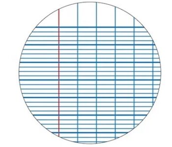 French Line Book inner line